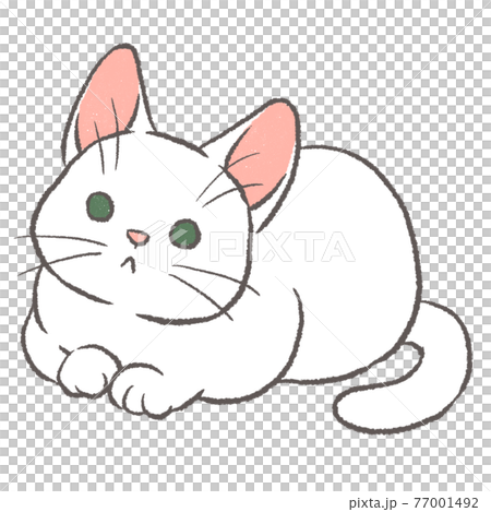 Illustration of a white cat curling up and looking up a little Illustration of a white cat curling up and looking up a little 77001492