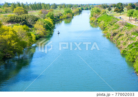 上江橋から早春の風景　入間川 77002033