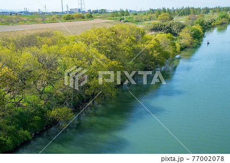 上江橋から早春の風景　入間川 77002078