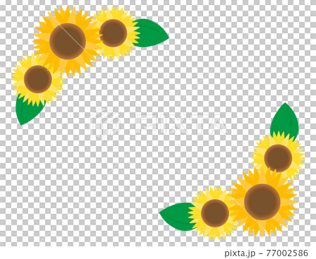 ひまわりのベクターイラスト 77002586