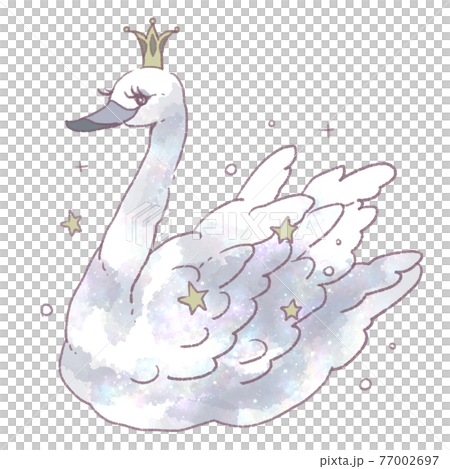 fancy swan