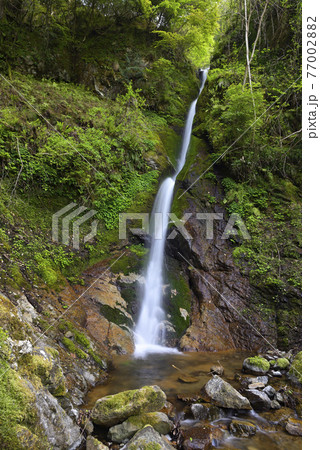 粟鹿の滝（雄滝）兵庫県朝来市山東町 77002882