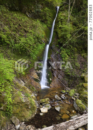 粟鹿の滝（雄滝）兵庫県朝来市山東町 77002883