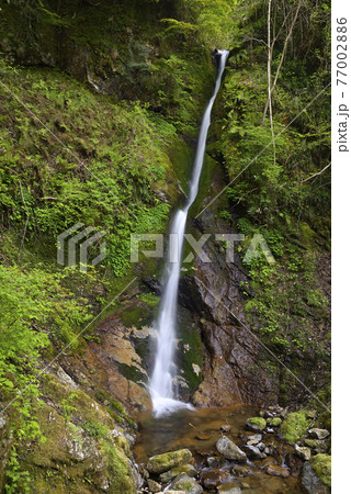 粟鹿の滝（雄滝）兵庫県朝来市山東町 77002886