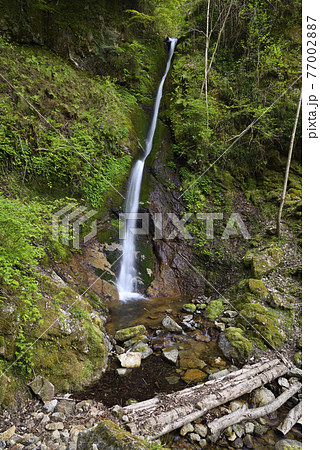粟鹿の滝（雄滝）兵庫県朝来市山東町 77002887