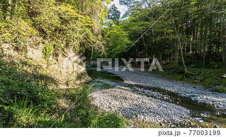 奥にテントがある入間川の風景／吾妻峡（埼玉県飯能市） 77003199