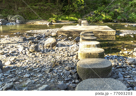 入間川に架かった円柱の飛び石をアップ（ドレミファ橋）／吾妻峡（埼玉県飯能市） 77003203