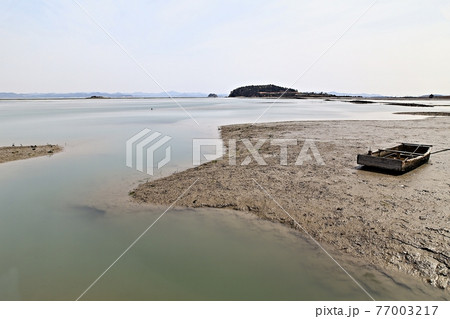 海岸 ビーチ 海 77003217