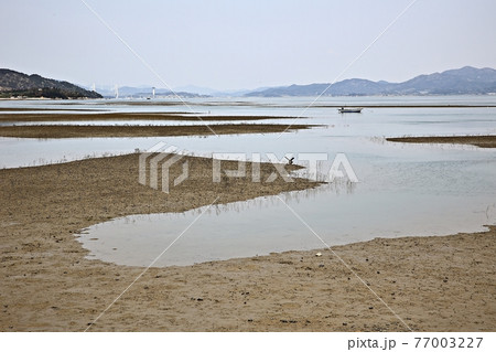 海岸 ビーチ 海 77003227
