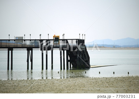 海岸 ビーチ 海 77003231