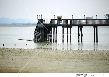 海岸 ビーチ 海 77003232