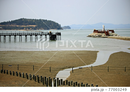 海岸 ビーチ 海 77003249