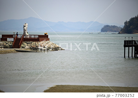 海岸 ビーチ 海 77003252