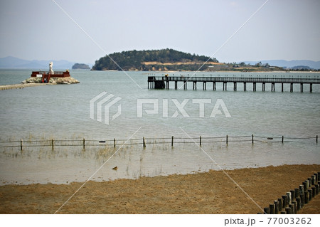 海岸 ビーチ 海 77003262