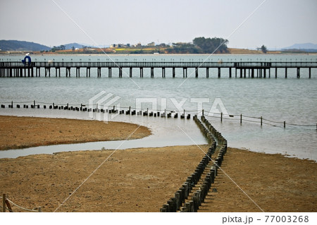 海岸 ビーチ 海 77003268