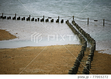 海岸 ビーチ 海 77003272