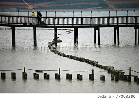 海岸 ビーチ 海 77003280