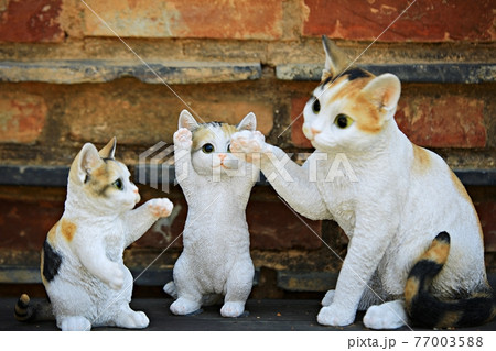 猫 動物 瓶 77003588