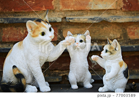 猫 動物 瓶 77003589