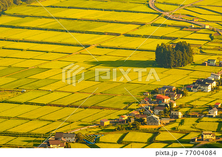 夏の田園風景(夕方) 夏の田園風景(夕方) 77004084