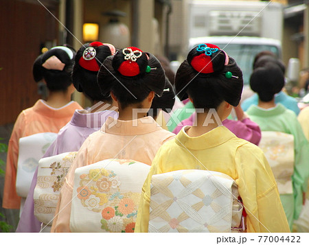 京都の芸舞妓さん 京都の芸舞妓さん 77004422
