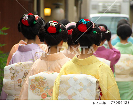 京都の芸舞妓さん 京都の芸舞妓さん 77004423