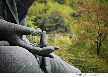 スポット 花 桜 77004909