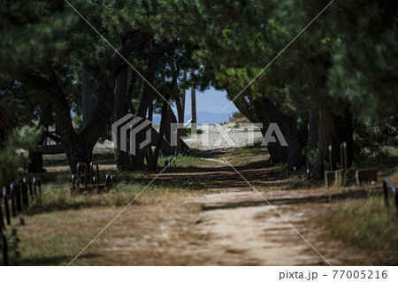 道の向こうに 77005216