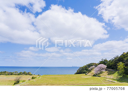京都 伊根町新井(春) 京都 伊根町新井(春) 77005708