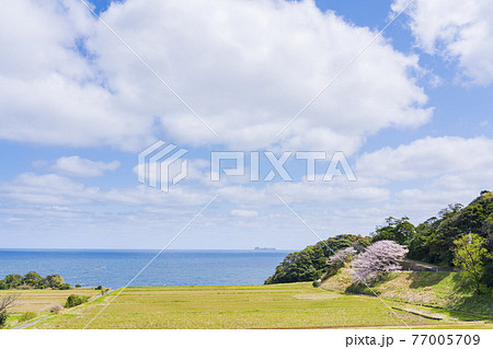 京都 伊根町新井(春) 京都 伊根町新井(春) 77005709