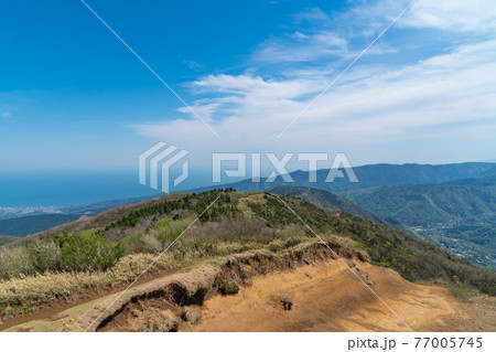 明神ヶ岳から明星ヶ岳へ向かう登山道から見た景色（相模湾方向） 77005745