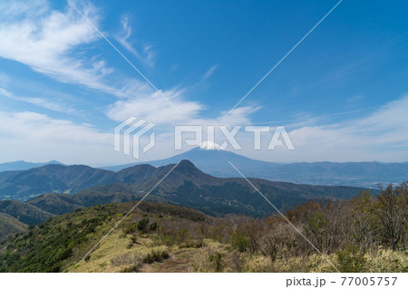 矢倉沢峠から明神ヶ岳へ向かう登山道から見た富士山 矢倉沢峠から明神ヶ岳へ向かう登山道から見た富士山 77005757