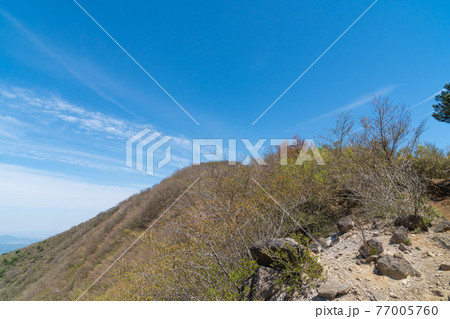 矢倉沢峠から明神ヶ岳へ向かう登山道 77005760