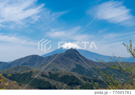 矢倉沢峠から明神ヶ岳へ向かう登山道から見た金時山 矢倉沢峠から明神ヶ岳へ向かう登山道から見た金時山 77005761