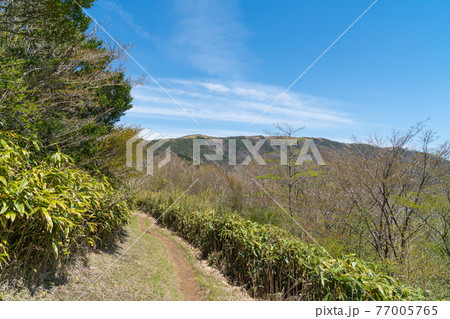矢倉沢峠から明神ヶ岳へ向かう登山道 77005765