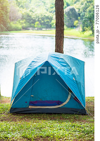 Camping under the forest, blue tent near lake. Outdoor travel, trip and vacation concept 77006126