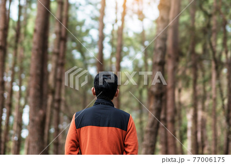 Happy traveler man standing and looking Pine tree forest, solo tourist in orange sweater traveling at Pang Oung, Mae Hong Son, Thailand. travel, trip and vacation concept 77006175
