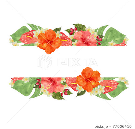 トロピカルな花のフレーム 77006410