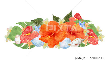 ハイビスカスの花と貝殻のデコレーションのイラスト素材