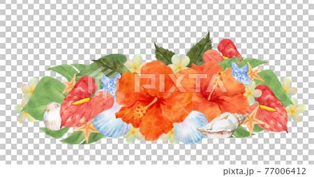 ハイビスカスの花と貝殻のデコレーションのイラスト素材