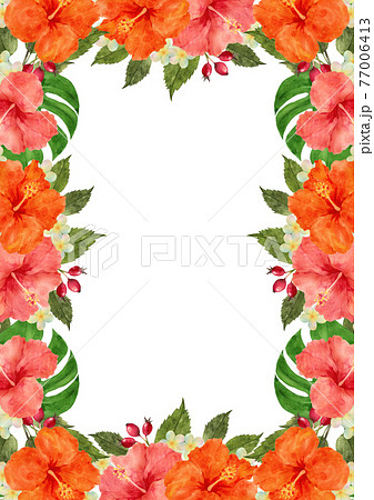 ハイビスカスの花のフレームのイラスト素材