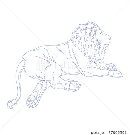 88星座シリーズC-白背景に星座絵のみ-しし座 88星座シリーズC-白背景に星座絵のみ-しし座 77006591