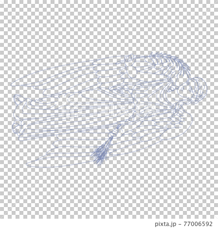 88 Constellation Series C-Constellation picture only on white background-Virgo 77006592