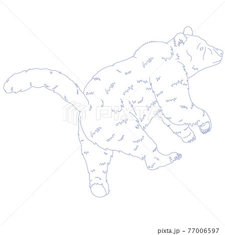 88星座シリーズC-白背景に星座絵のみ-おおぐま座 77006597