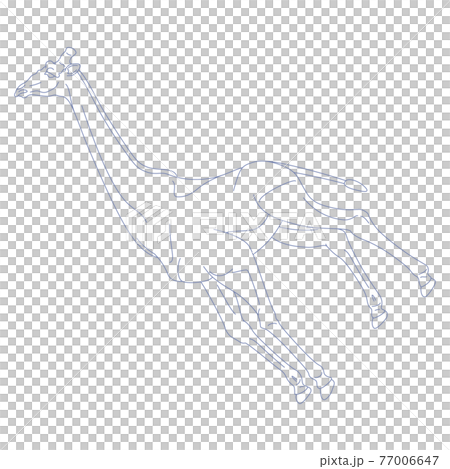 88星座シリーズC-白背景に星座絵のみ-きりん座 88星座シリーズC-白背景に星座絵のみ-きりん座 77006647