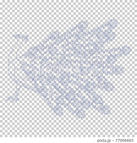 88星座系列C-星座圖片僅白底-Pavo 77006665