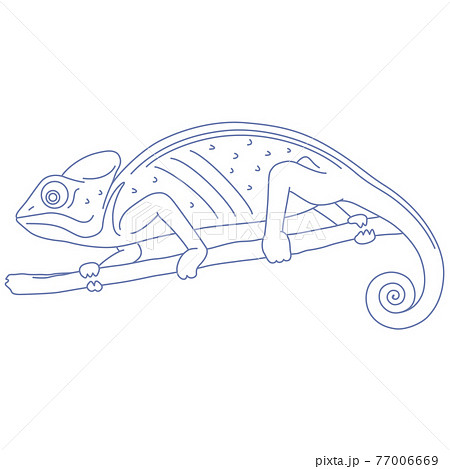 星座シリーズc 白背景に星座絵のみ かめれおん座のイラスト素材