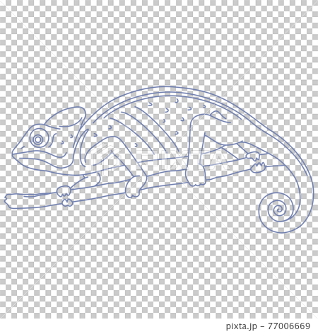 88星座シリーズC-白背景に星座絵のみ-かめれおん座 77006669