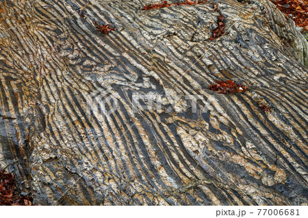 地球科學教材 12月褶皺結構 足尾山海圖圖層示例 照片素材 圖片 圖庫