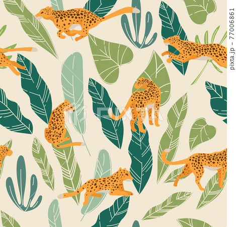 Hunting and running leopard animal in tropics 77006861